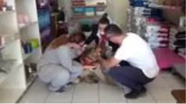 ANTALYA Kesici aletle işkence yapılan köpeği sahiplendi, 'Ailesi biz olacağız' dedi