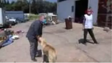 İZMİR Sahipsiz sokak hayvanları onlara emanet