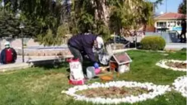 Kırşehir'de Kovid-19 salgınında sokak hayvanları unutulmadı