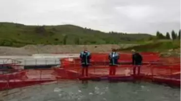 Kaya,'Alabalık üretiminde kapasitemiz 10 bin tonun üzerine çıkacak'