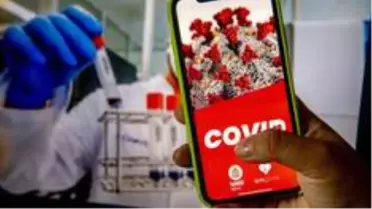 Koronavirüs: Türkiye ve dünyadaki temas takip uygulamaları güvenli mi? Hak ve mahremiyet...
