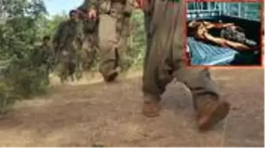 MİT, PKK'nın sözde Mahmur üst düzey yöneticisi Galya Bekir'i etkisiz hale getirdi
