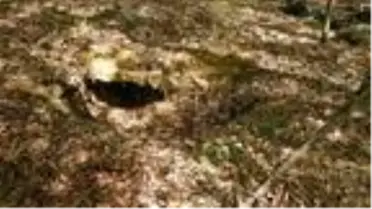 Tokat'ta, TKP-ML TİKKO'nun kullandığı sığınak ve depo bulundu