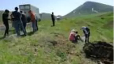 Ağrı'da hafif ticari araç, şarampole uçtu: 6 yaralı