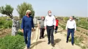 Başkan Gümrükçü, Çiftçiler Günü'nü tarlada kutladı