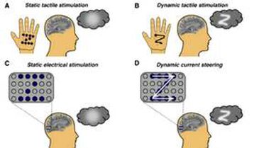 Görme Engelliler İçin Beyne Sinyal Gönderen Teknik Geliştirildi