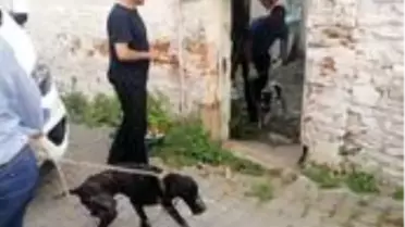 Kaymakam Şahin'den jet talimat
