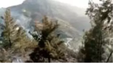Çıkan orman yangınına havadan ve karadan müdahale ediliyor (2)