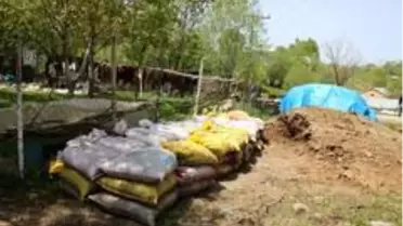 Hayvanlar yaylaya çıkınca barınaklar temizlenmeye başlandı