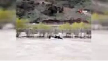 Aras Nehri'ne düşen danayı AFAD ekipleri böyle kurtardı