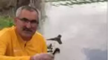 Kanala düşen yavru ördekleri Belediye Başkanı kurtardı