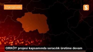 ORKÖY projesi kapsamında seracılık üretime devam