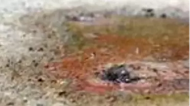 Karayolunun altından geçen sıcak su kaynağı asfaltı deldi