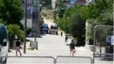 Antalya, Artvin, Elazığ ve Bingöl'de haftalar sonra yeni koronavirüs vakaları tespit edildi