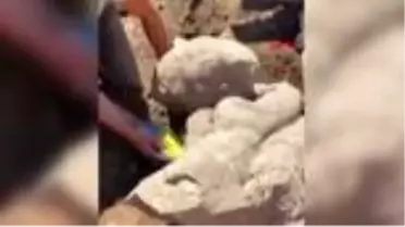 ANTALYA Patara'da iki eser daha bulundu