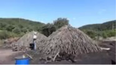 Geçimlerini mangal kömürü yaparak sağlıyorlar - ÇANAKKALE