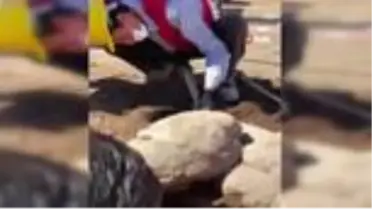 Patara'da bulunan 'Eros heykeli' kazı ekibine çifte bayram yaşattı