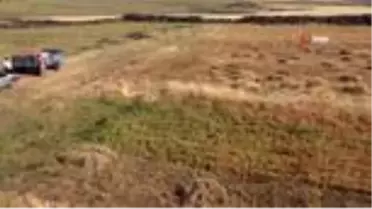 Şanlıurfa'da mercimek hasadı şiddetli yağmur ve doludan dolayı sıkıntılı başladı