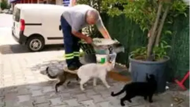 Sokaktaki can dostlar emin ellerde