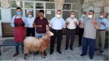 Camiler şükür için hayvan kesilerek ibadete açıldı