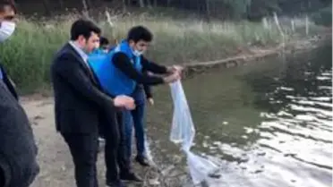 Pazarlar göletlerine 10 bin adet sazan balığı yavrusu bırakıldı