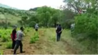 Traktörden düşün çocuk öldü