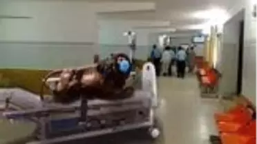 Necef Belediyesinden aslan heykeline ilişkin açıklama