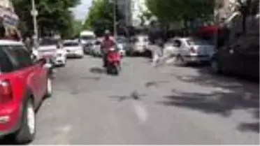 Son dakika! AVCILAR'DA MARTILARIN CADDEDE YİYECEK KAPMA YARIŞI