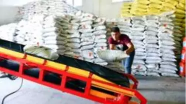 Çiftçiye Macar fiğ tohumu desteği için ön kayıt başvuruları başladı
