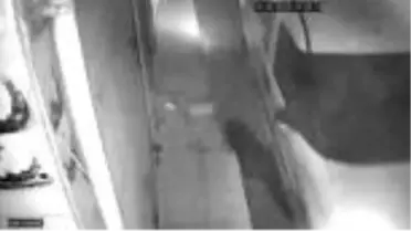 Kasaptan hırsızlıkla ilgili gözaltına alınan 2 kardeşten biri tutuklandı
