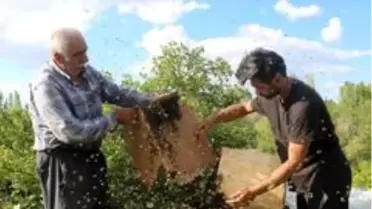 Korkusuz dede ve torunun arılarla ilişkisi şaşırtıyor