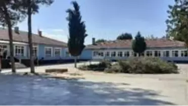 Son Dakika: Okul bahçesindeki çam ağaçlar kesildi