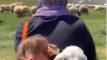 5 yaşındaki Şirin'in annesinin sırtında kuzuyla birlikte yayla yolculuğu
