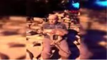 Son dakika haberi! Yavru karacayı köpeklerden kurtardı