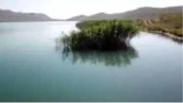 'Kuş cenneti' Deniz Gölü, eşsiz güzellikleriyle keşfedilmeyi bekliyor