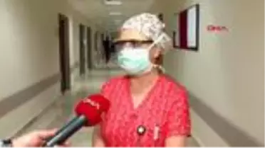 ADANA 'Arı sokması öldürebilir' dedi, Demet Evgar'ı uyardı