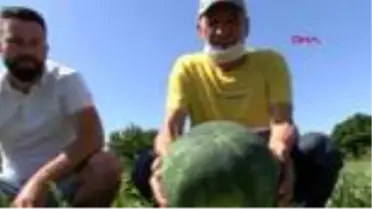 ANTALYA Karpuzda 'şeker hilesi' tartışması