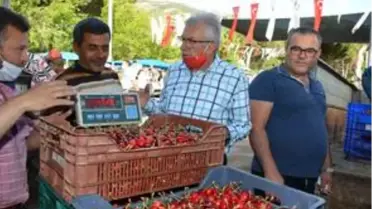 Mendegüme Toptan Erik ve Kiraz Pazarı açıldı