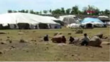 DİYARBAKIR Karacadağ'da göçerlerin asırlardır süren zorlu yaşamı