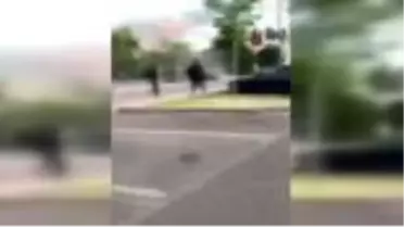 Fransa'da Çeçenler ve Araplar arasındaki silahlı çatışmalar sürüyor