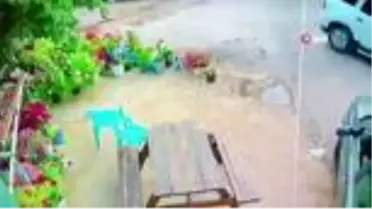 Menteşe'de çalınan köpek sahibine teslim edildi
