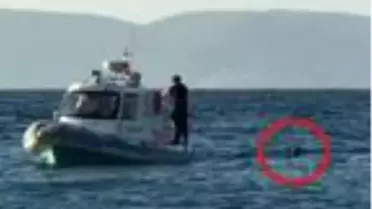 Ankara'dan geldi, Kuşadası'nı karıştırdı
