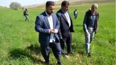 Çiftçilerin hibe destekli tohumdan beklentisi yüksek