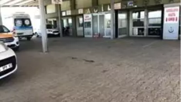 Horasan'da arazi kavgası: 1 ölü, 11 yaralı