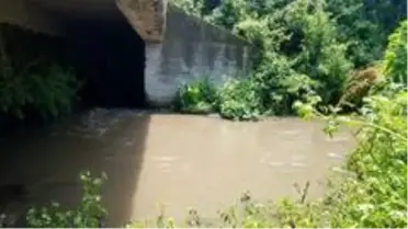 İznik Gölü'ne karışan derenin rengi siyaha döndü