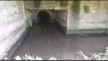 İznik Gölü'ne karışan derenin rengi siyaha döndü