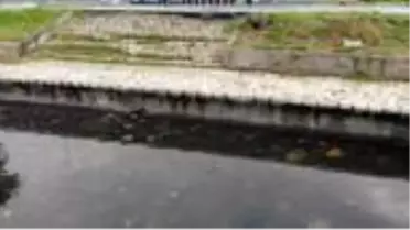 Samatya Sahil'deki çöp yığınlarına vatandaş isyan etti
