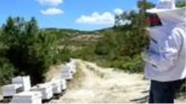 İZMİR EMEKLİ DENİZ ASTSUBAY, BALDAN SİRKE ÜRETİYOR
