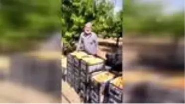 'Elmacı Dede' Mehmetçiğe kayısı dağıtmak için Denizli'den Şırnak'a gitti