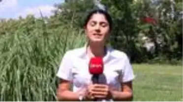 KORONAVİRÜSTEN ÖNCE YAVAŞLIK DERSİ ALDILAR, EVDE KALMA STRESİNİ YAŞAMADILAR